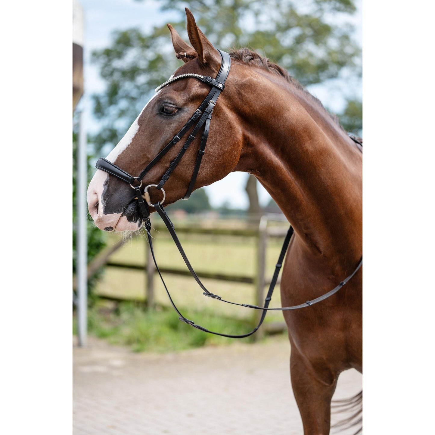 Nicole Bridle with Drop Noseband