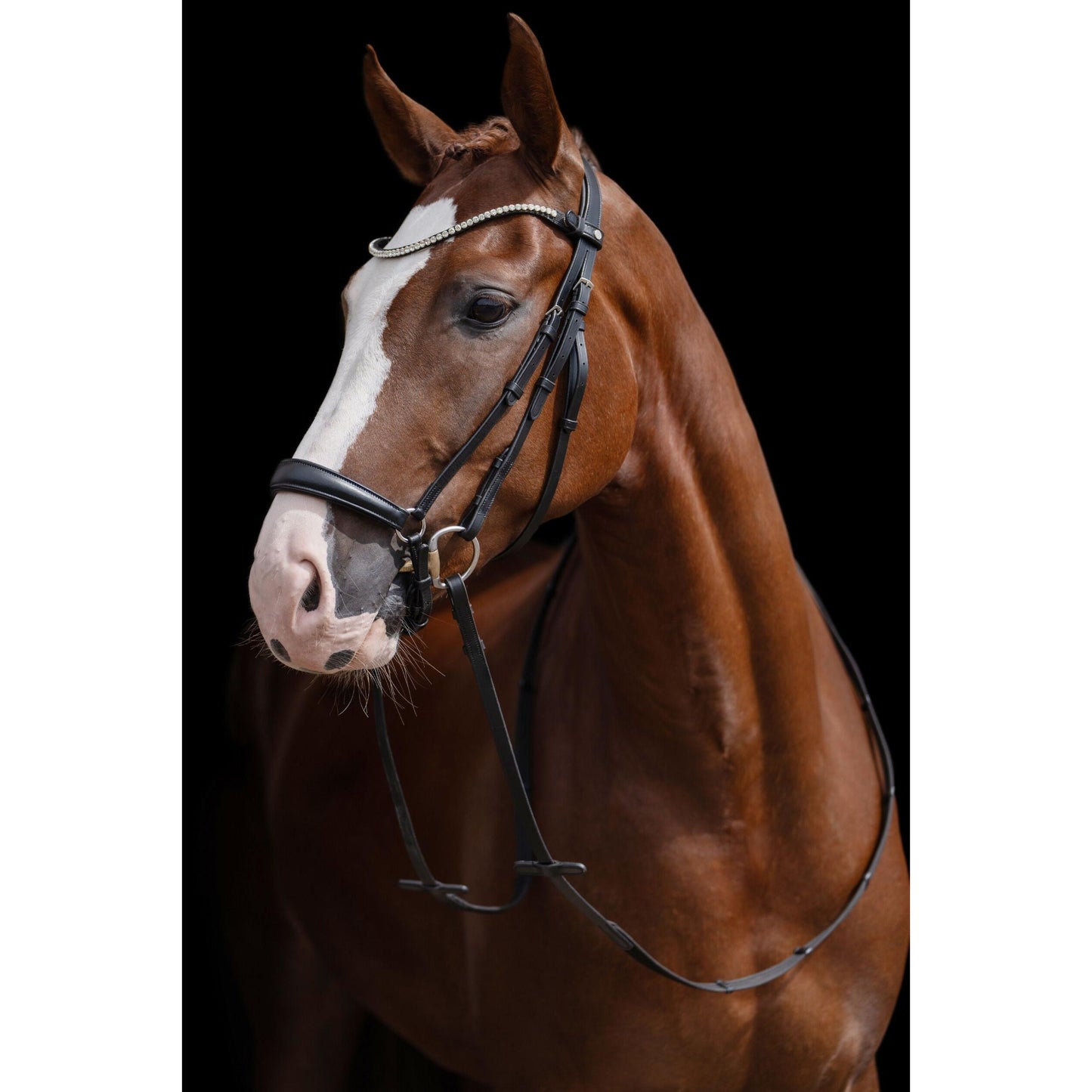 Nicole Bridle with Drop Noseband