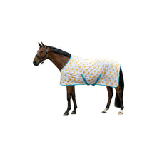 Load image into Gallery viewer, Naples Fly Rug