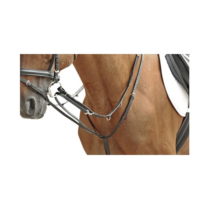 Market Harborough - Cob/Full Size