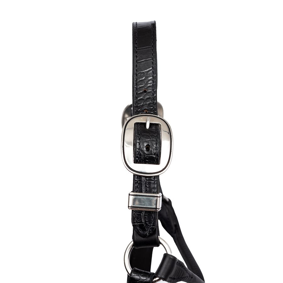 Western Buckles for Crocodile Embossed Show Halter