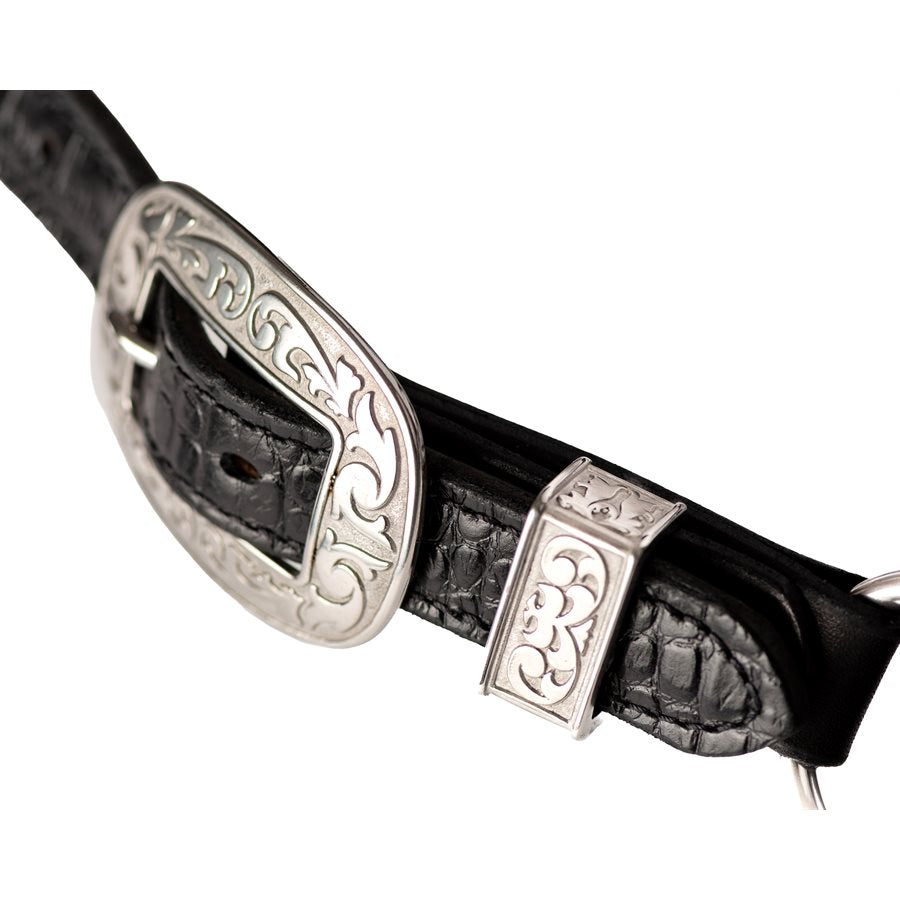Western Buckles for Crocodile Embossed Show Halter