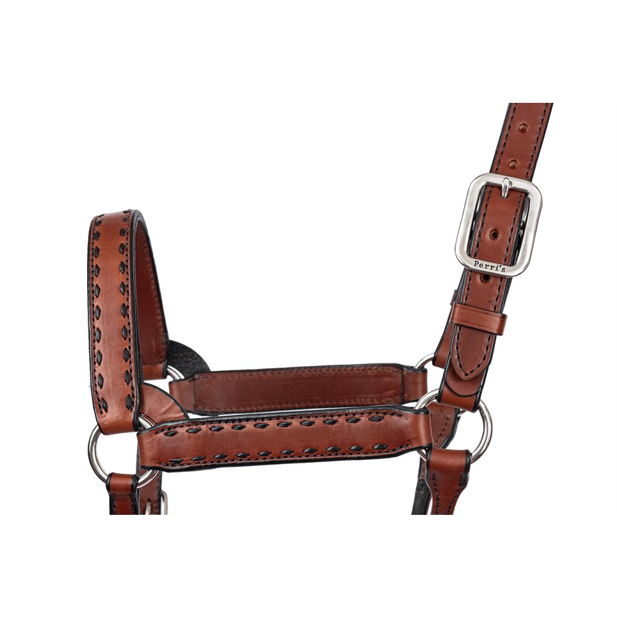 Buck Stitch Leather Halter