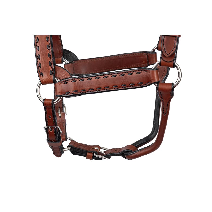 Buck Stitch Leather Halter