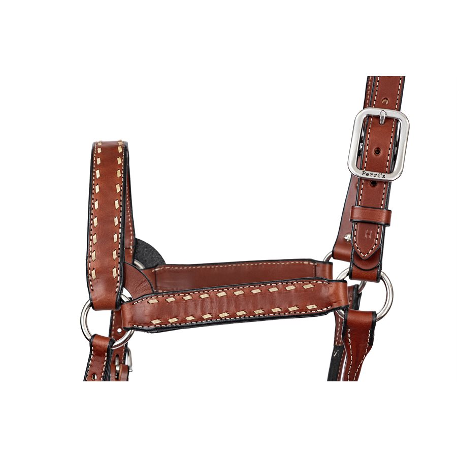 Buck Stitch Leather Halter