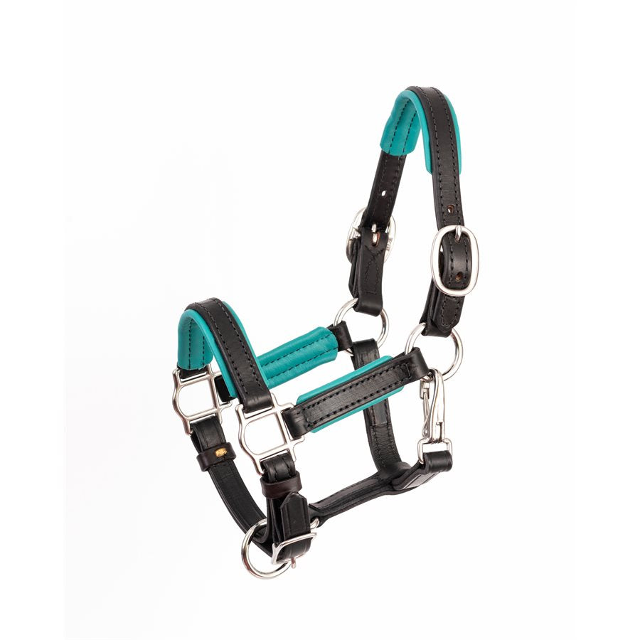 Padded Leather Halter