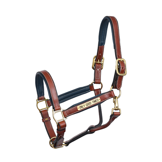 Custom Padded Leather Halter w/plate