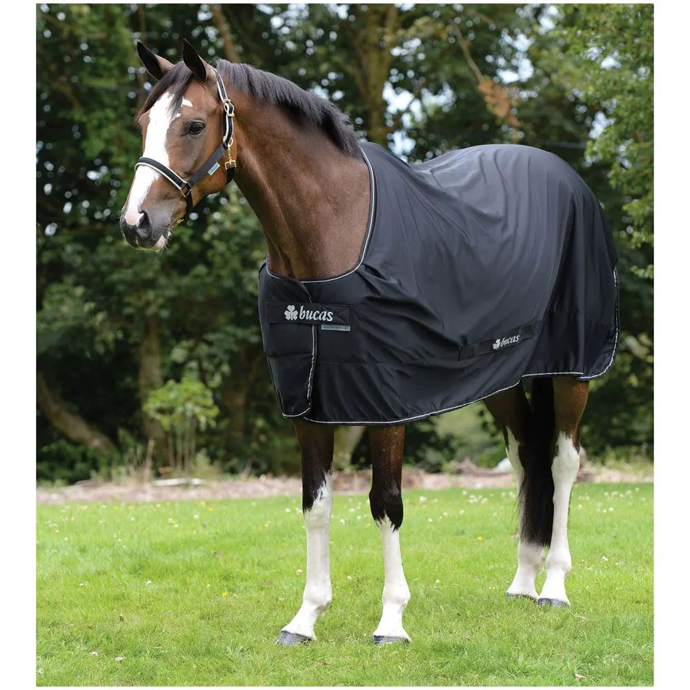 Cooler Power Black