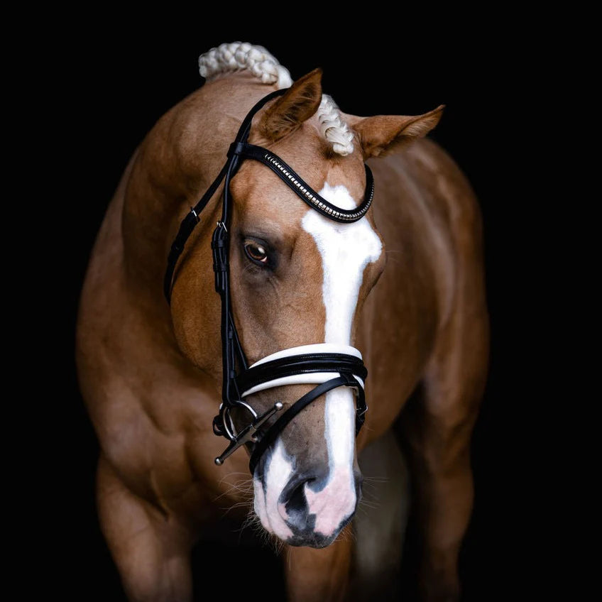 Melodie White Padded Bridle (No reins)