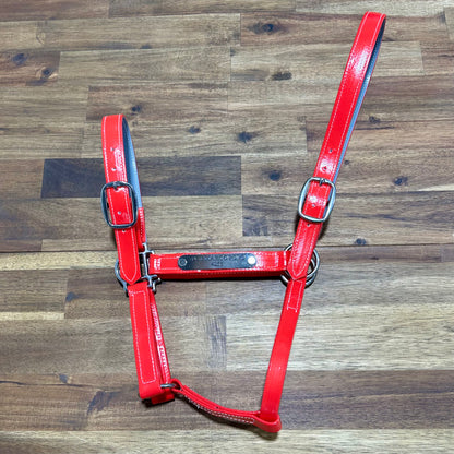 Custom PVC Halter with Engraved Horse Nameplate