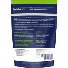 Load image into Gallery viewer, MetaboLize® - 90g Satchel