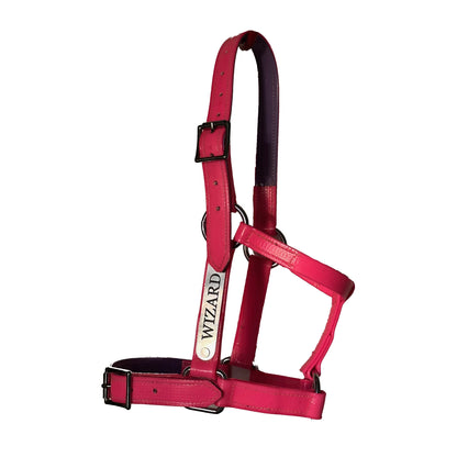 Custom PVC Halter with Engraved Horse Nameplate