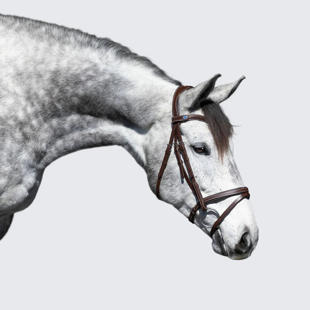 Delaney Bridle (Hanoverian) (No reins)