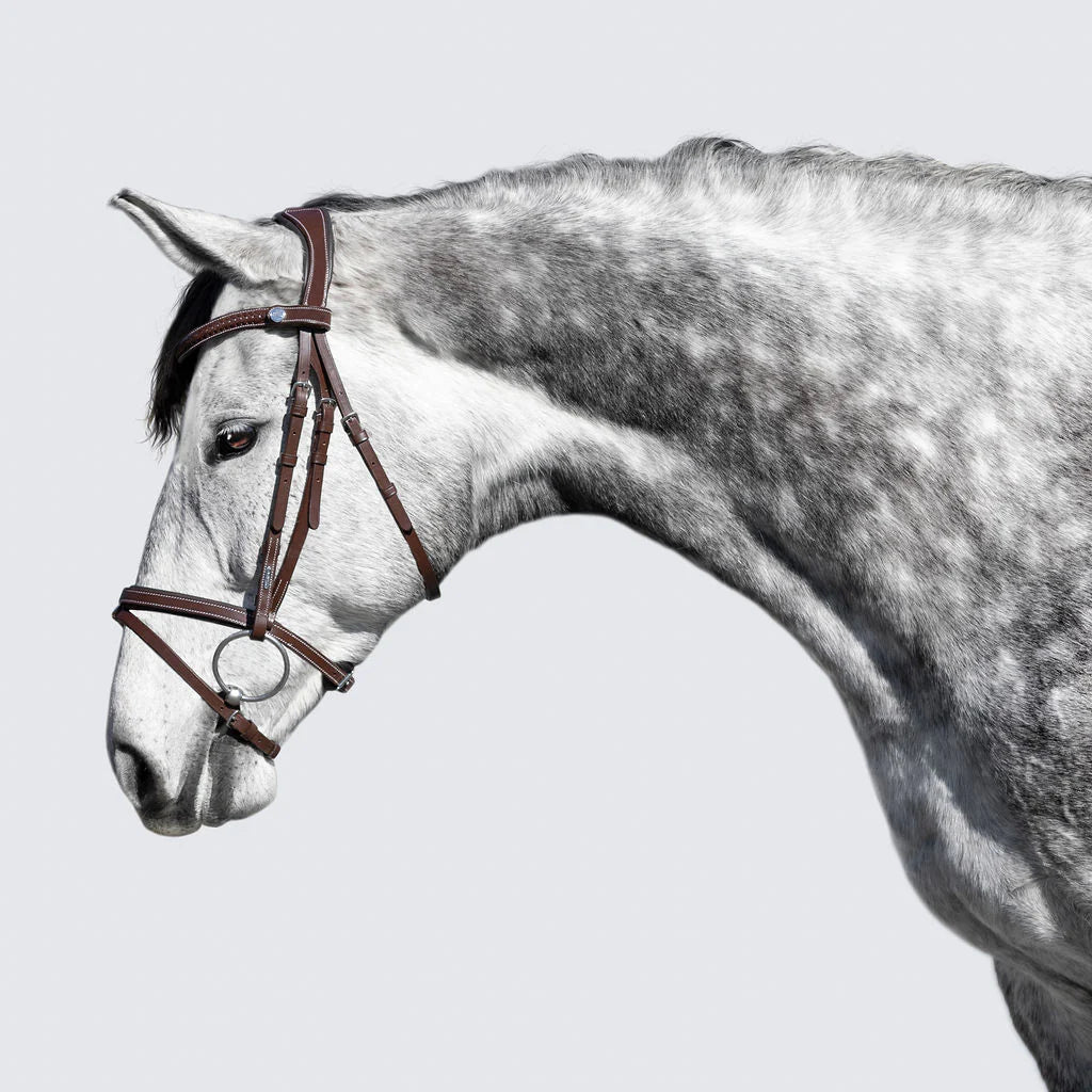 Delaney Bridle (Hanoverian) (No reins)