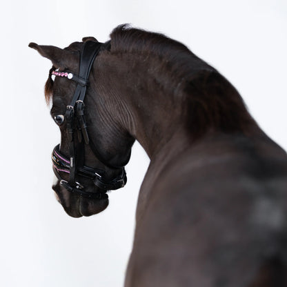 Fairyfloss Bridle (No reins)