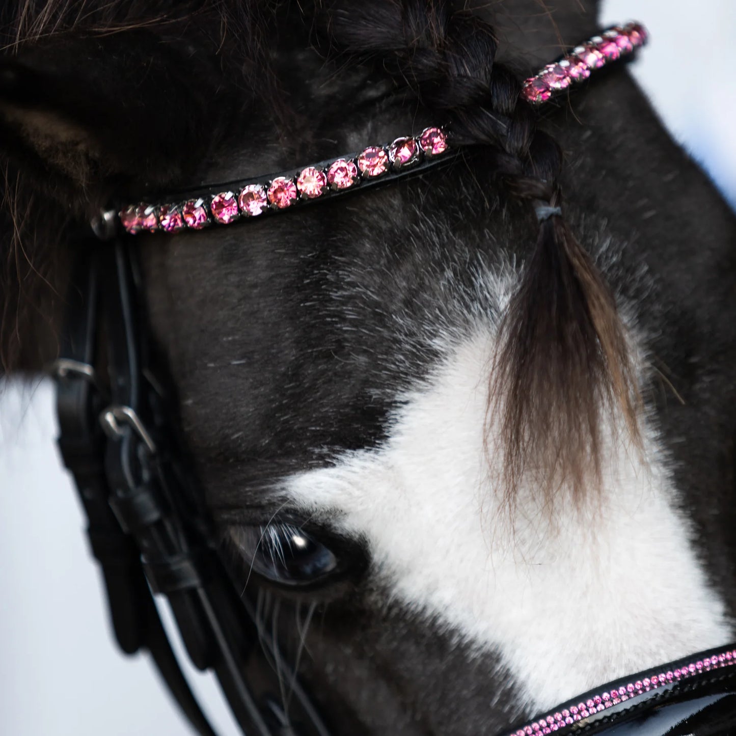 Fairyfloss Bridle (No reins)
