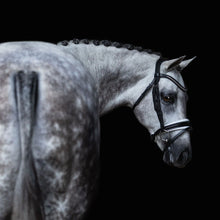 Load image into Gallery viewer, Melodie White Padded Bridle (No reins)