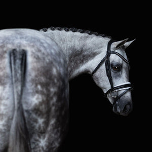 Melodie White Padded Bridle (No reins)