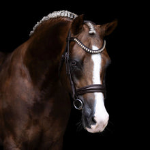 Load image into Gallery viewer, Athens Leather Bridle