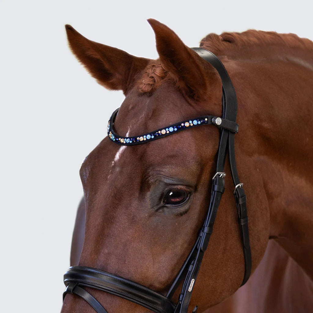 Demi Bridle (Hanoverian) (No reins)