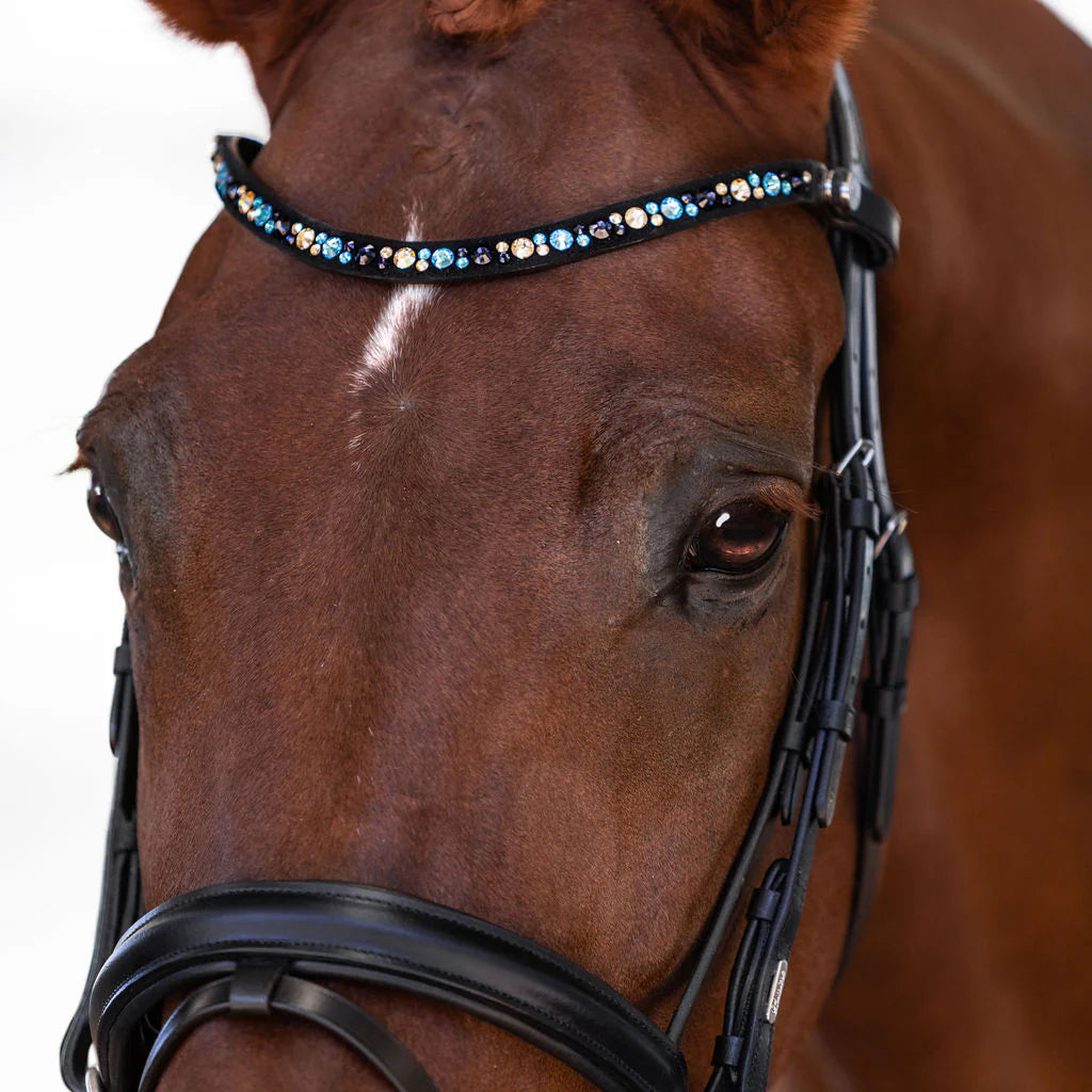 Demi Bridle (Hanoverian) (No reins)