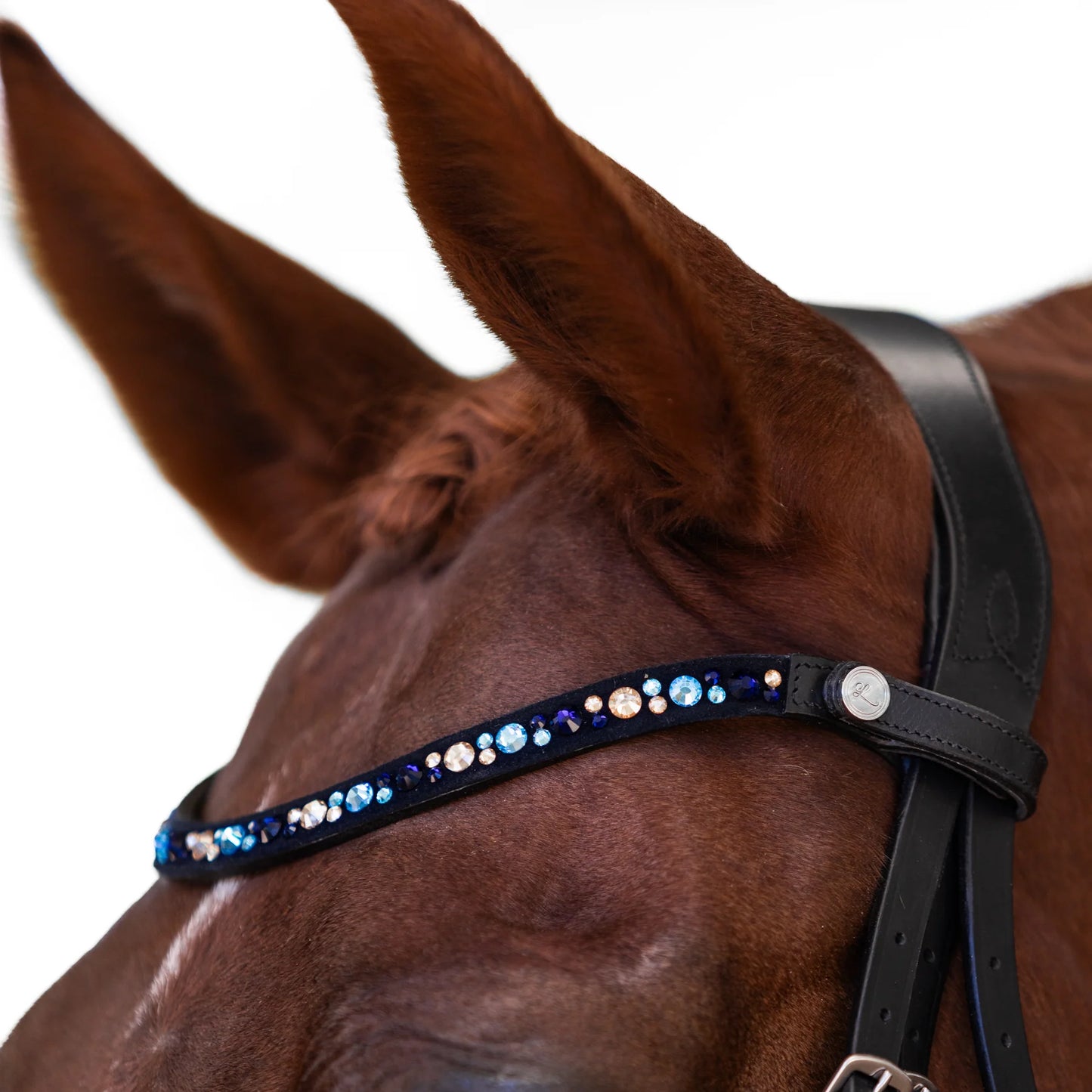 Demi Bridle (Hanoverian) (No reins)