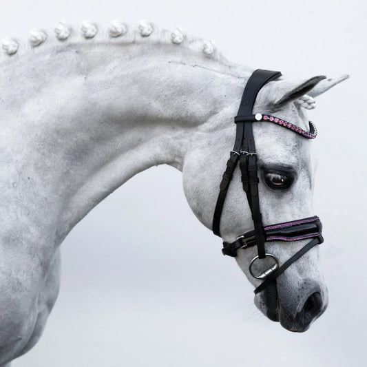 Fairyfloss Bridle (No reins)