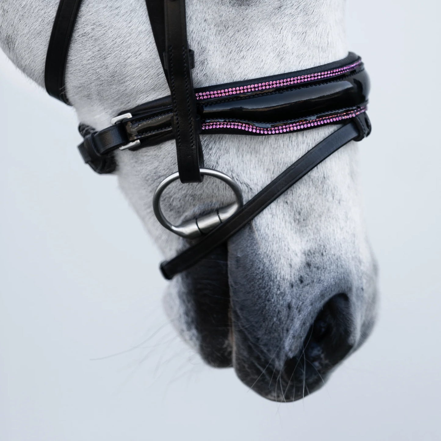 Fairyfloss Bridle (No reins)