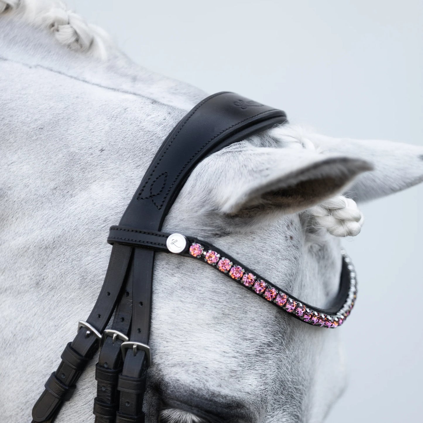 Fairyfloss Bridle (No reins)