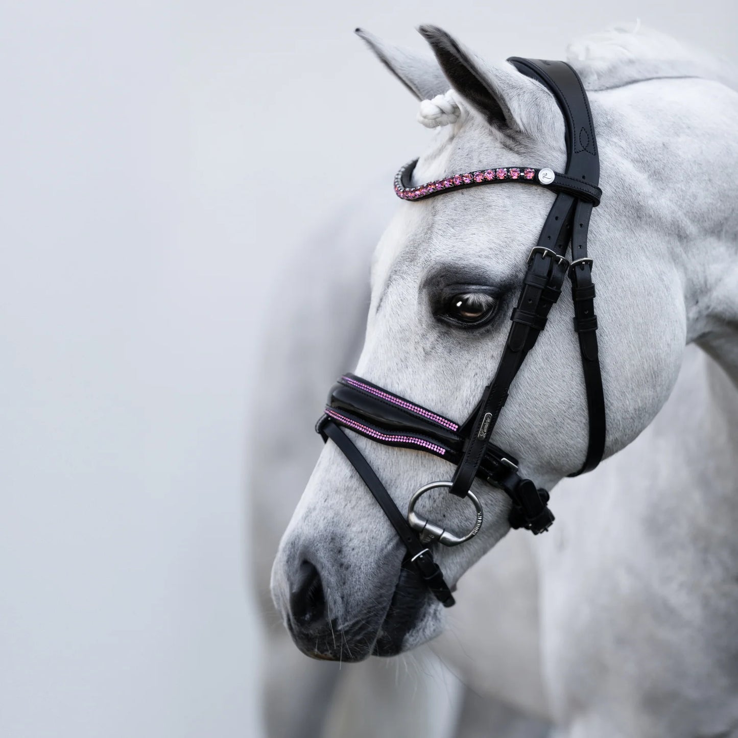 Fairyfloss Bridle (No reins)