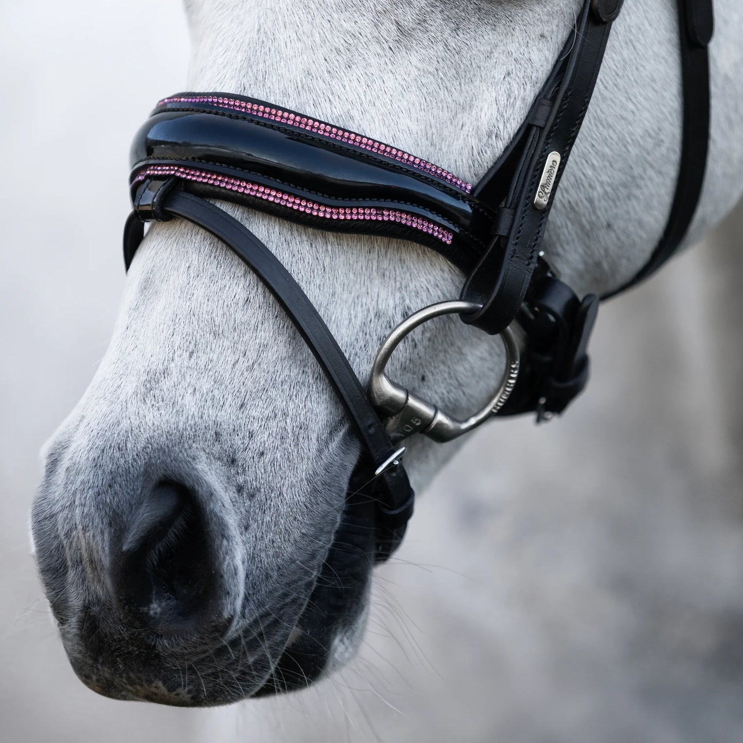 Fairyfloss Bridle (No reins)