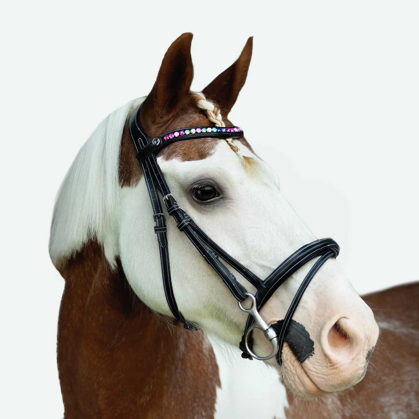 Rainbow Bridle (Convertible) (No reins)