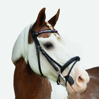 Rainbow Bridle (Convertible) (No reins)