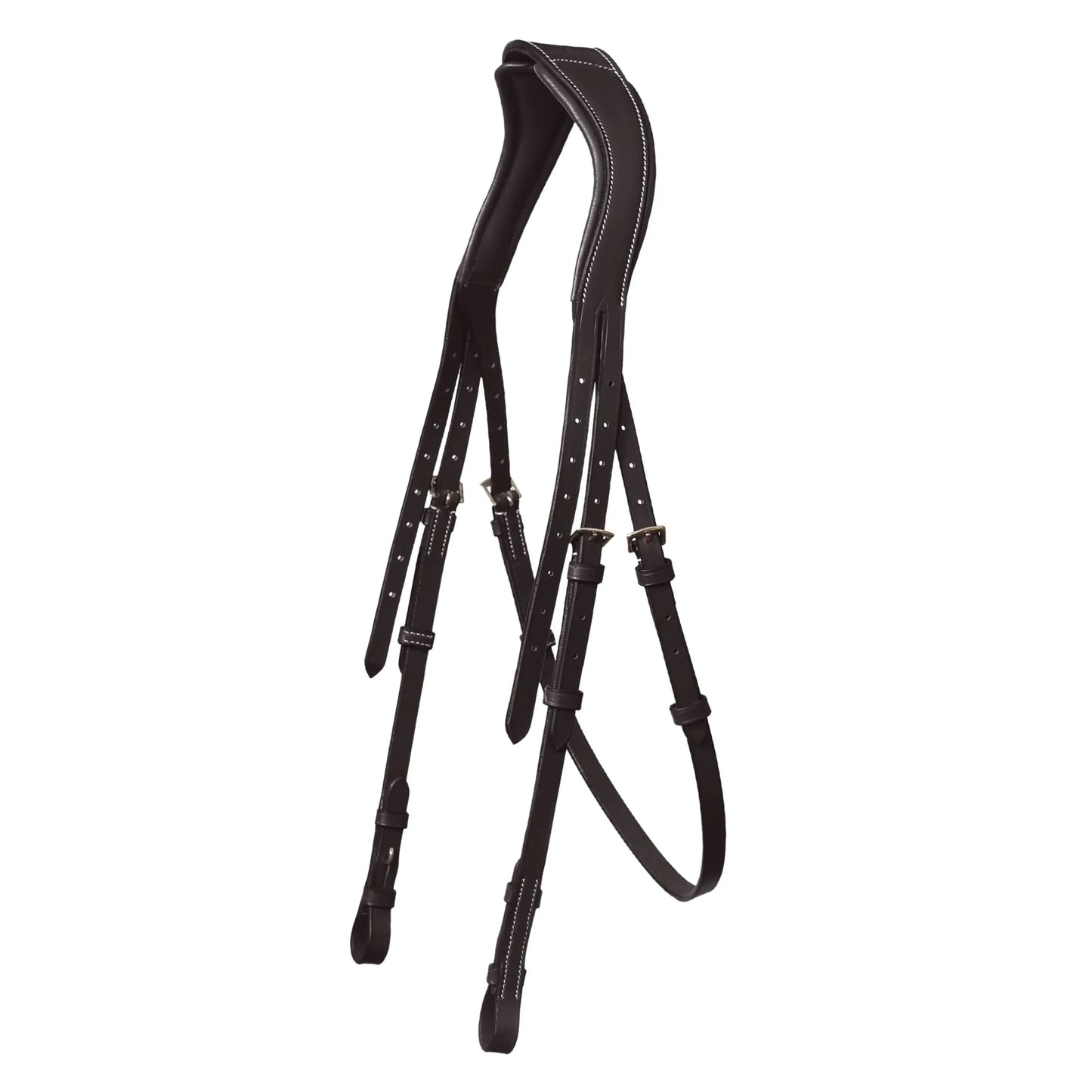 Vela Grackle Bridle