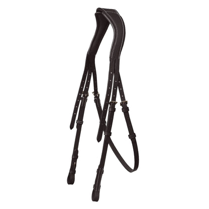 Vela Grackle Bridle