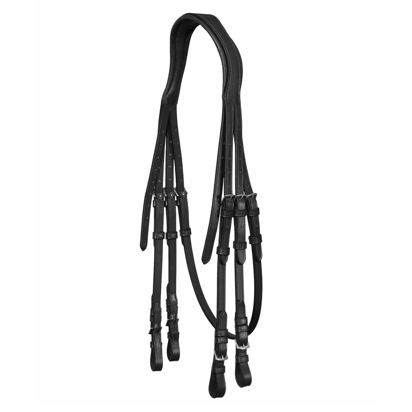 Anatomic Double Bridle Headpiece