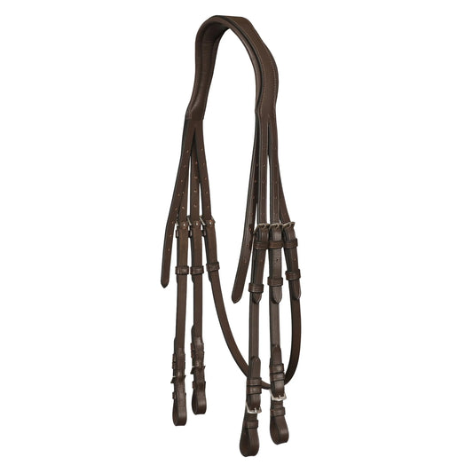 Anatomic Double Bridle Headpiece