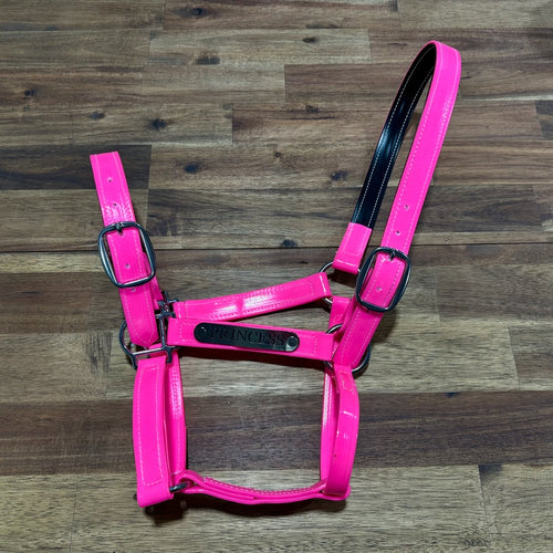 Custom PVC Halter with Engraved Horse Nameplate