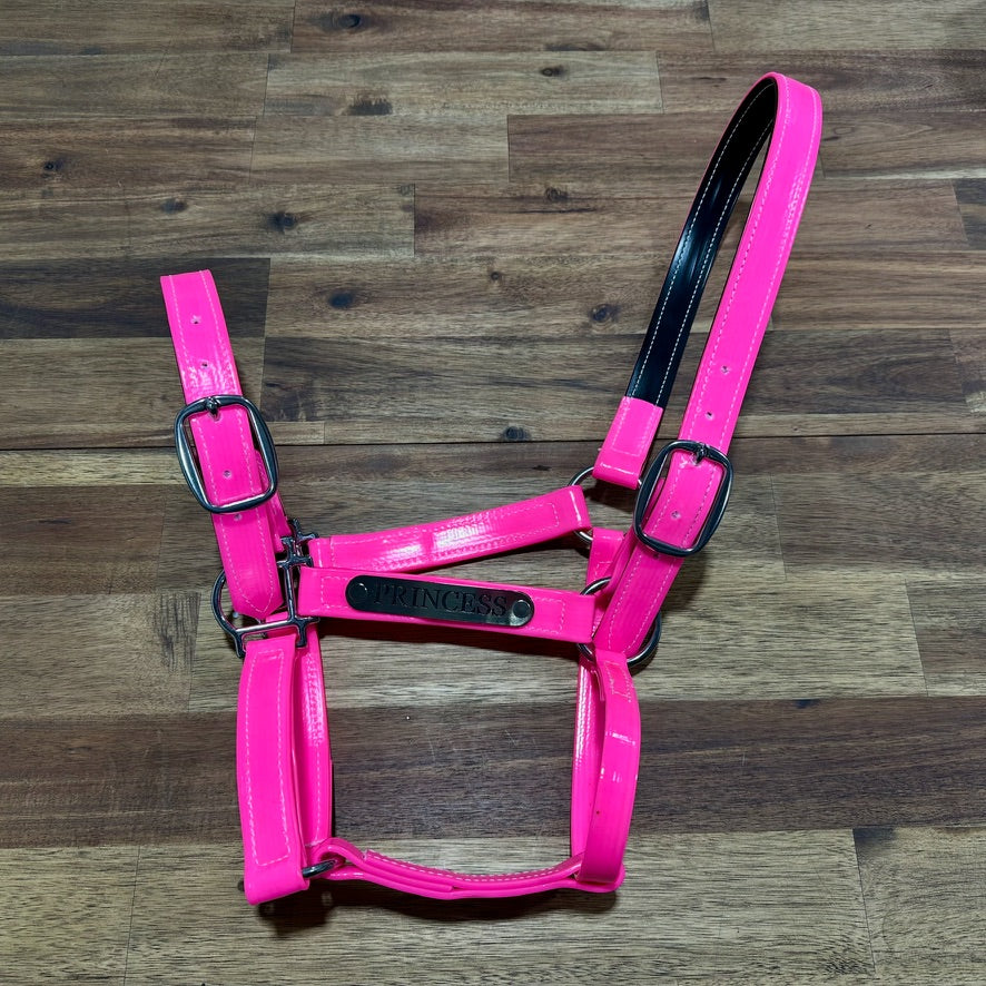 Custom PVC Halter with Engraved Horse Nameplate