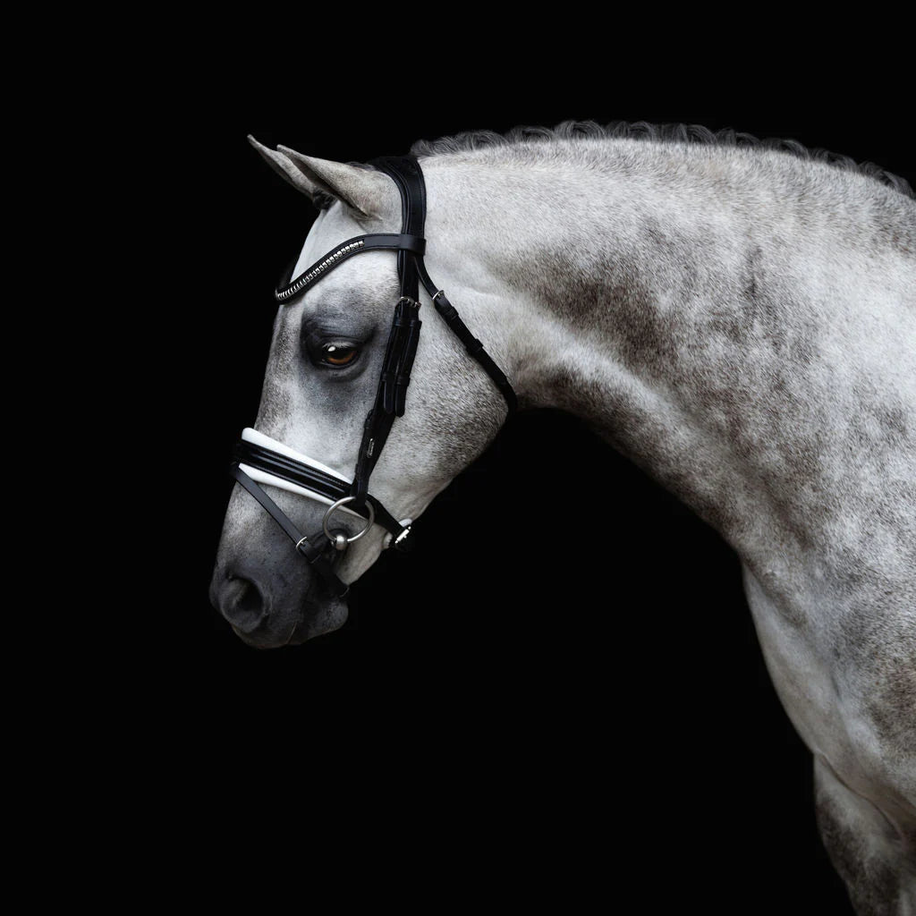 Melodie White Padded Bridle (No reins)