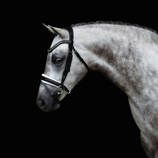 Melodie White Padded Bridle (No reins)
