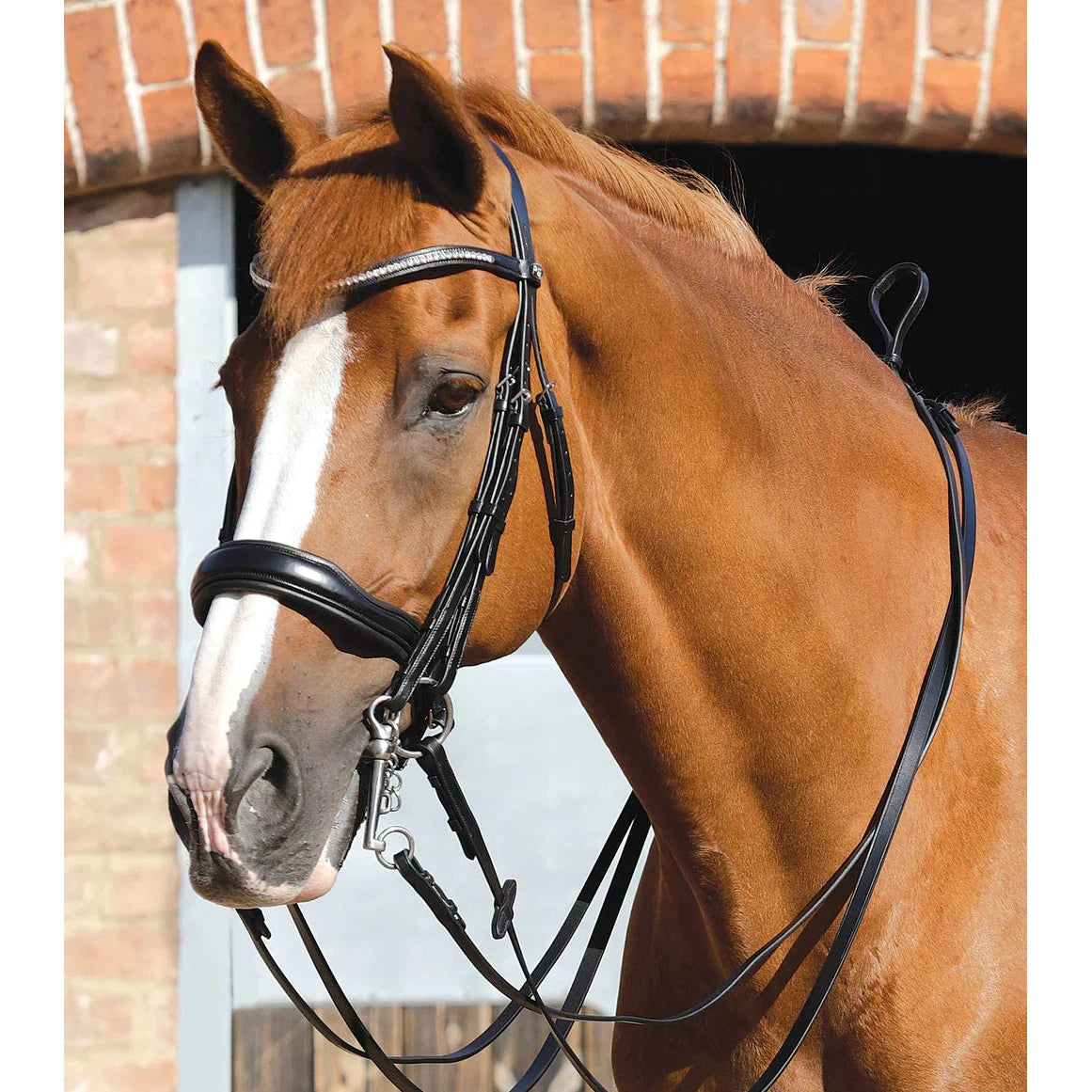 Senado Plain Leather Reins - Black