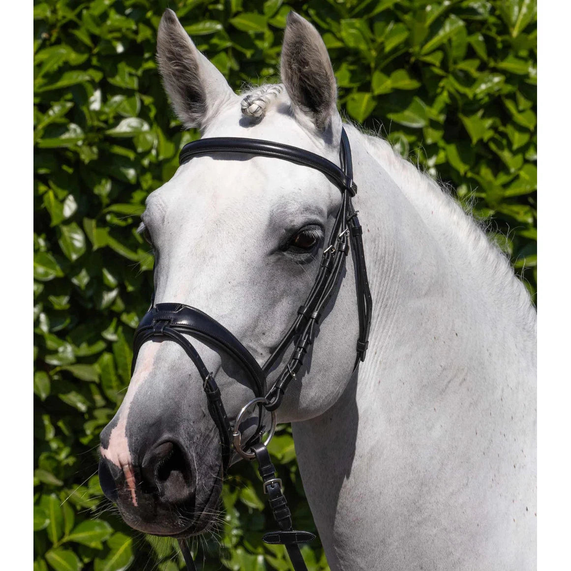 Artana Snaffle Bridle (Convertible) (No reins)