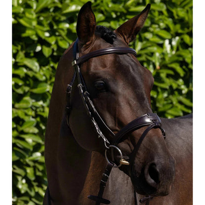 Artana Snaffle Bridle (Convertible) (No reins)
