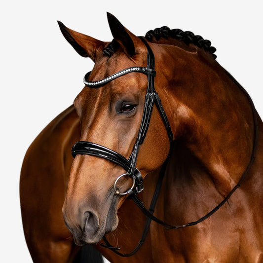 Aurelie Leather Bridle (Cavesson) (No reins)