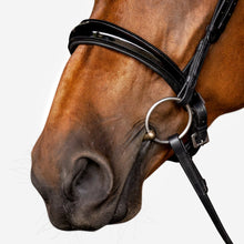 Load image into Gallery viewer, Aurelie Leather Bridle (Cavesson) (No reins)
