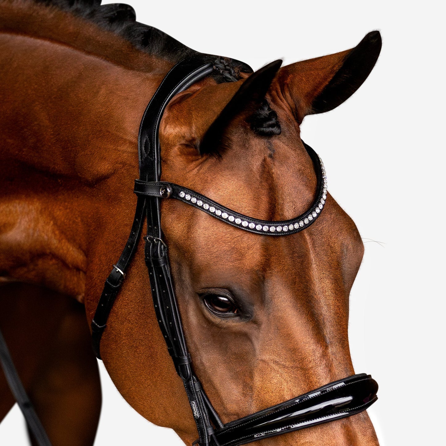 Aurelie Leather Bridle (Cavesson) (No reins)