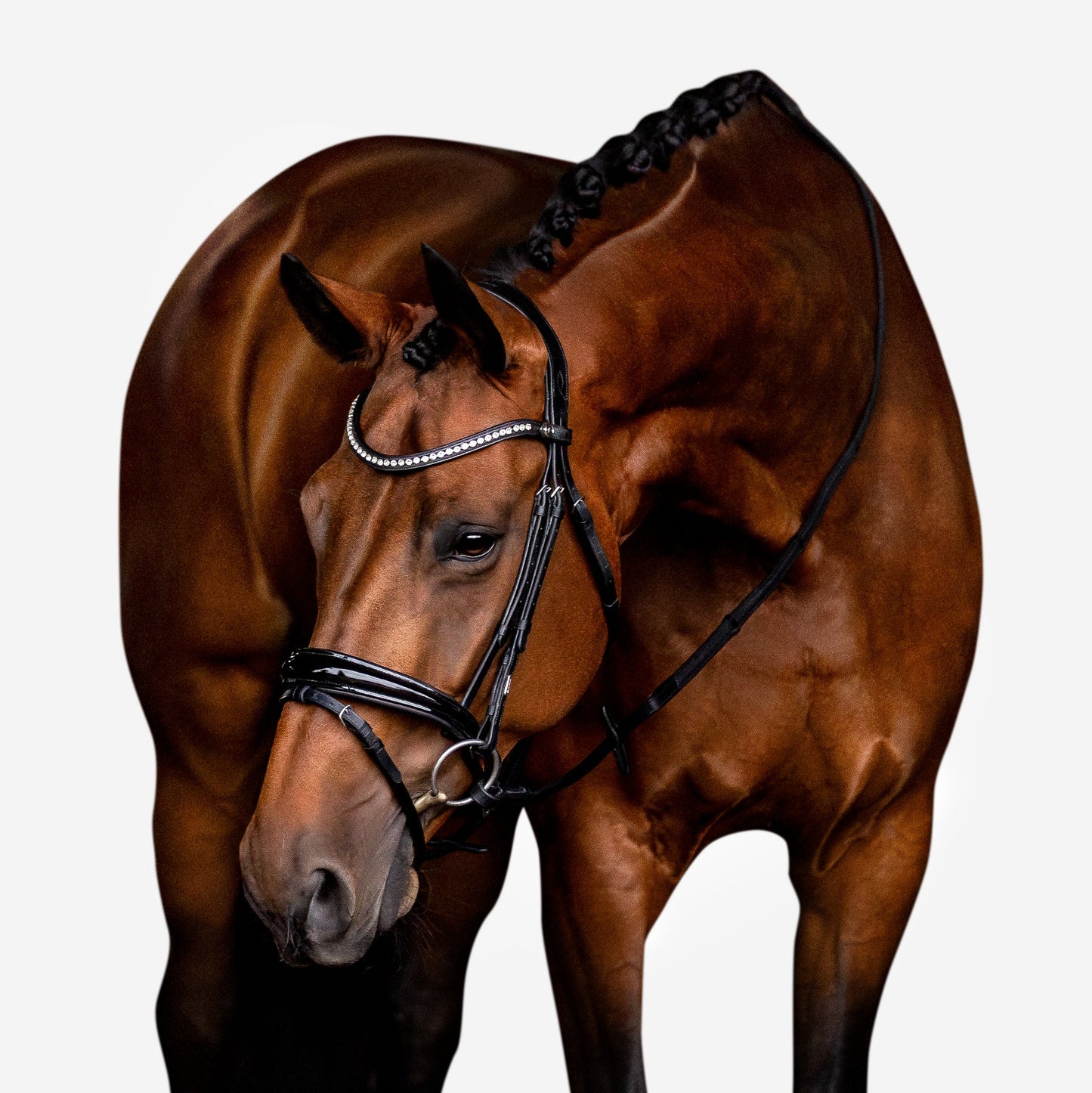 Aurelie Leather Bridle (Hanoverian) (No reins)