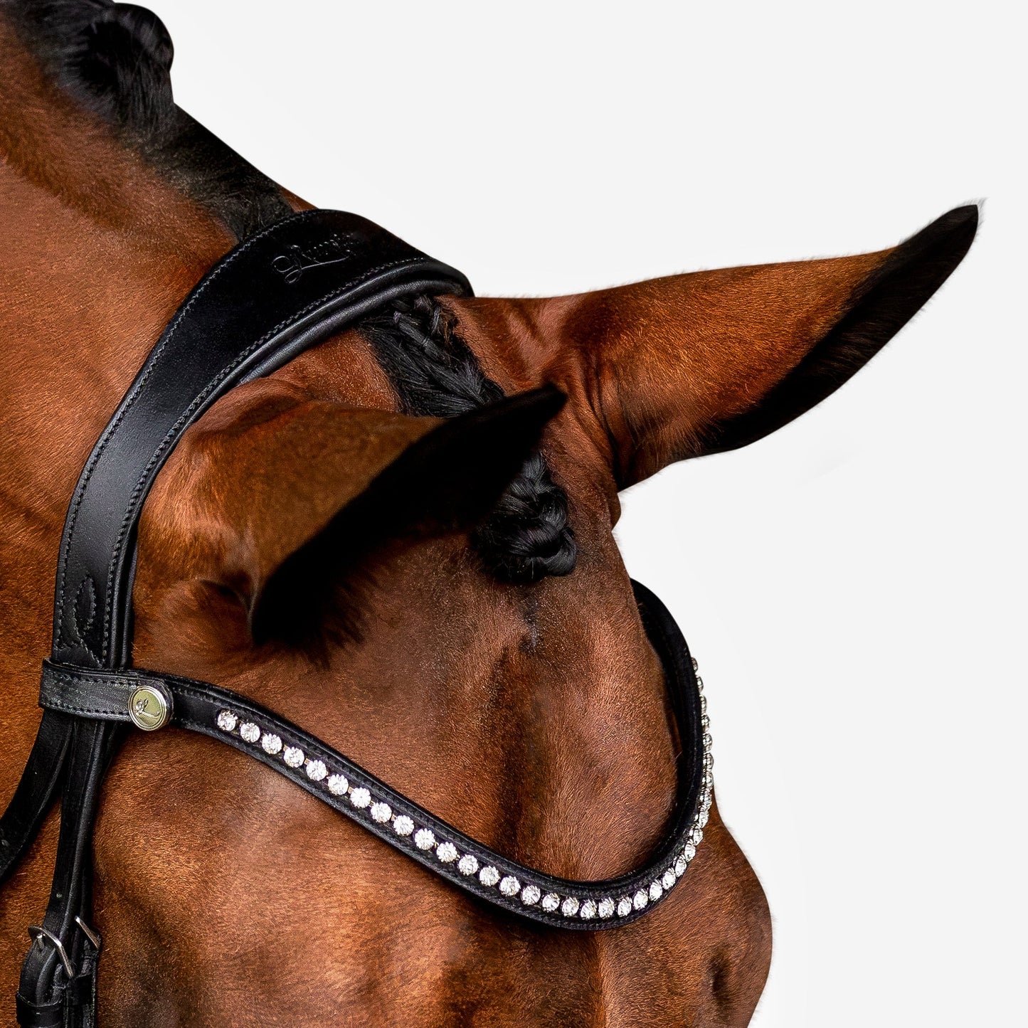 Aurelie Leather Bridle (Hanoverian) (No reins)