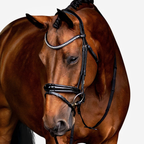 Aurelie Leather Bridle (Hanoverian) (No reins)